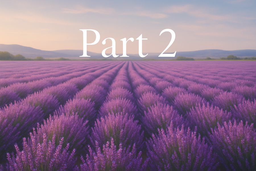 MBP Q&A Part 2